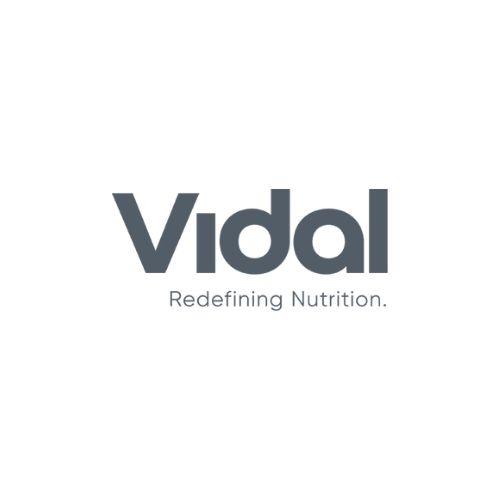 Official logo of Vidal Coaching