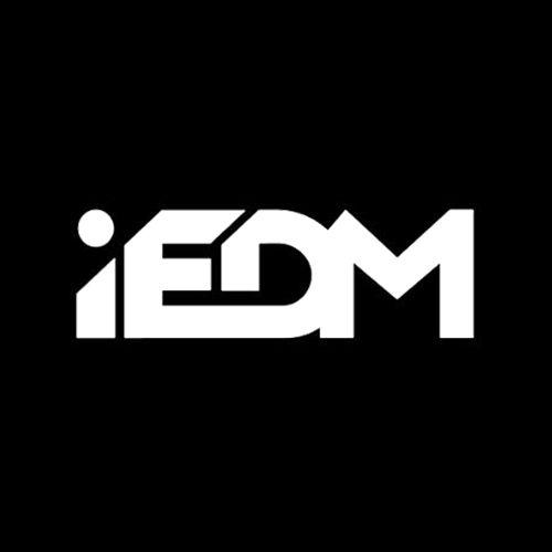 Logo for iedm