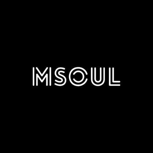 Logo for MSOUL ART