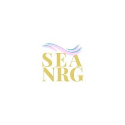 SEANRG logo
