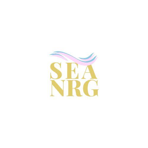 Logo for SEANRG