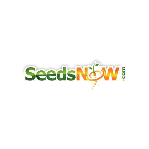 Logo for SeedsNOW