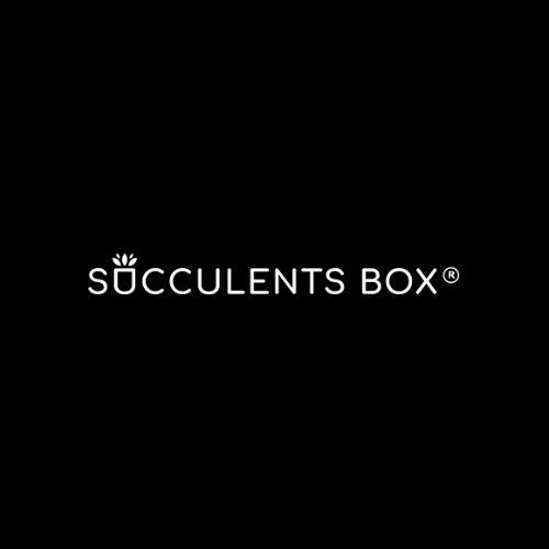 Logo for Succulents Box