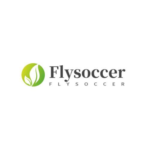 Logo for Flysoccer