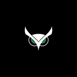 Usnighthawk logo