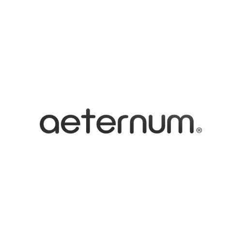 Official logo of The Aeternum Company