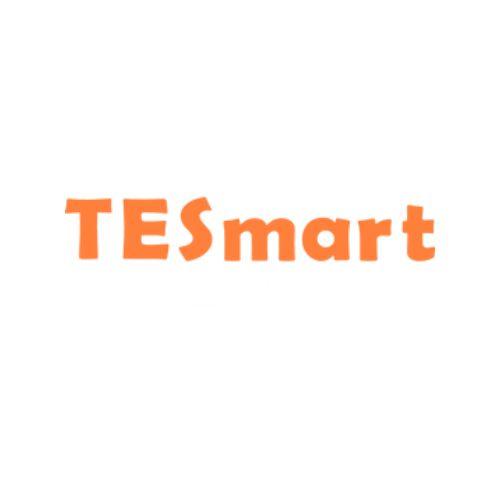 Logo for TESmart