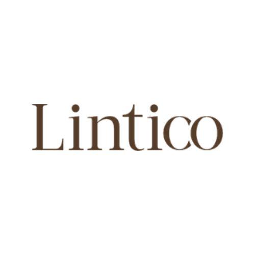Official logo of LINTICO
