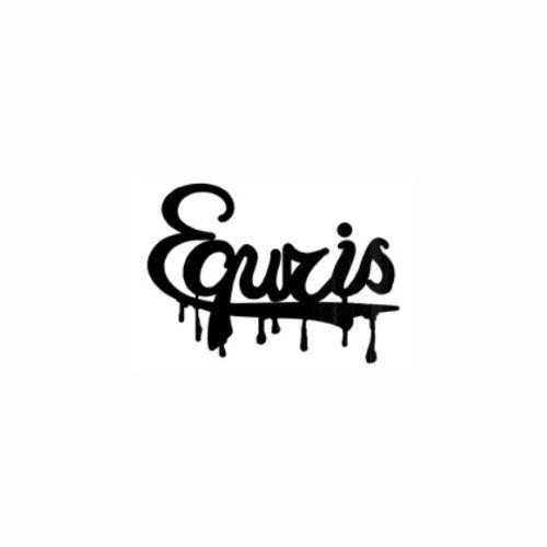Official logo of Equris