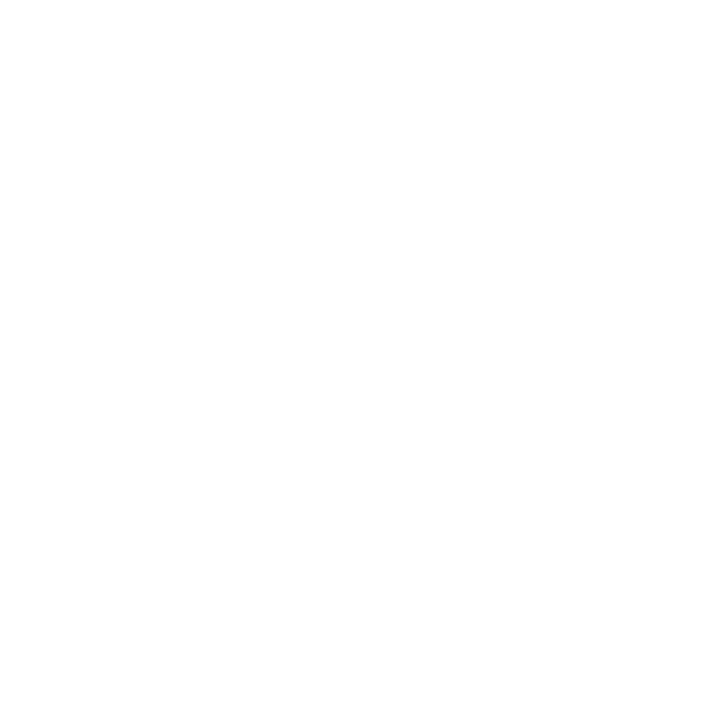Logo complet The Planet Deals
